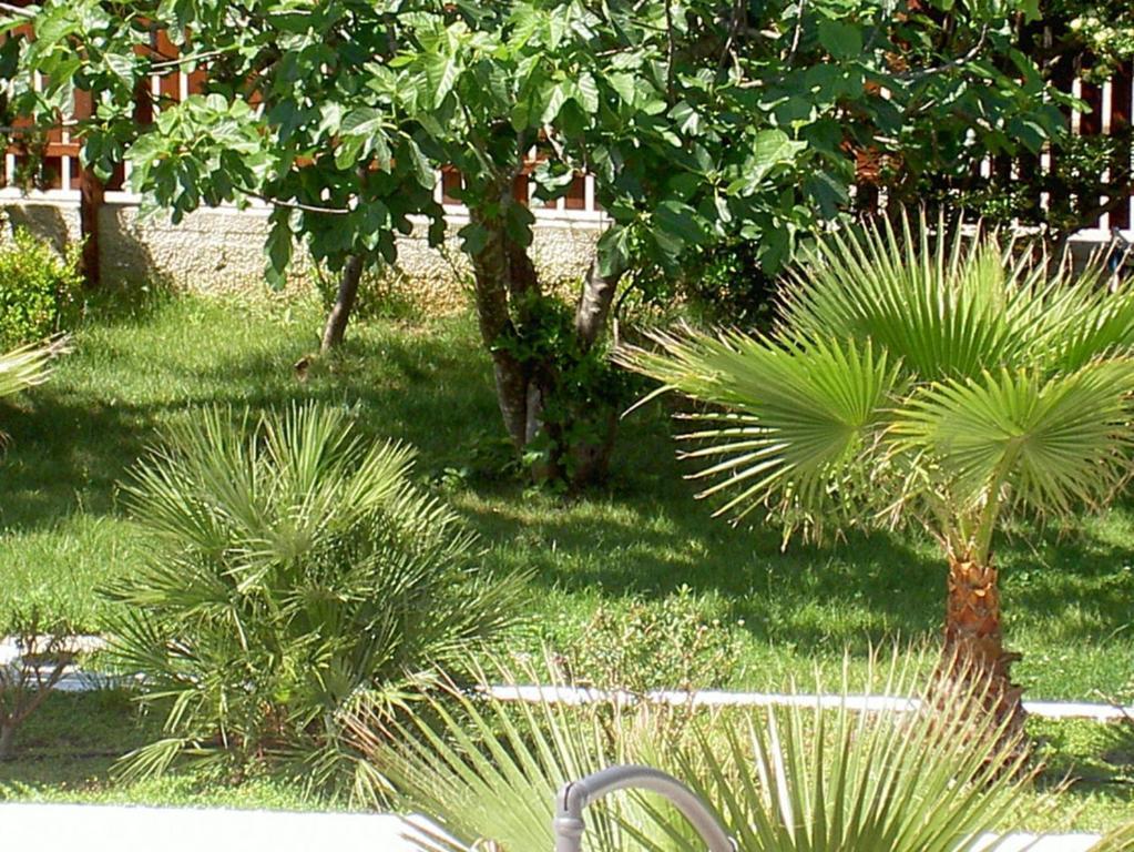Baia Del Sole Hotel Paestum Exterior foto